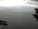 ./images/koeye/fitz-hugh/20200912/fitz-hugh20200912_124001.jpg