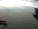 ./images/koeye/fitz-hugh/20200912/fitz-hugh20200912_124501.jpg