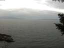 ./images/koeye/fitz-hugh/20200912/fitz-hugh20200912_125501.jpg
