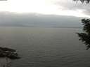 ./images/koeye/fitz-hugh/20200912/fitz-hugh20200912_130501.jpg