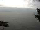 ./images/koeye/fitz-hugh/20200912/fitz-hugh20200912_132502.jpg