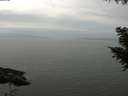 ./images/koeye/fitz-hugh/20200912/fitz-hugh20200912_135002.jpg