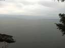 ./images/koeye/fitz-hugh/20200912/fitz-hugh20200912_140502.jpg