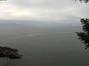 ./images/koeye/fitz-hugh/20200912/fitz-hugh20200912_141002.jpg