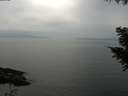 ./images/koeye/fitz-hugh/20200912/fitz-hugh20200912_144501.jpg