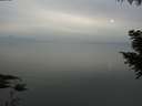 ./images/koeye/fitz-hugh/20200912/fitz-hugh20200912_185002.jpg