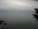 ./images/koeye/fitz-hugh/20200912/fitz-hugh20200912_185502.jpg