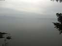 ./images/koeye/fitz-hugh/20200912/fitz-hugh20200912_190501.jpg