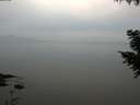 ./images/koeye/fitz-hugh/20200912/fitz-hugh20200912_192502.jpg