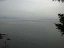 ./images/koeye/fitz-hugh/20200912/fitz-hugh20200912_202001.jpg