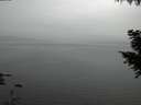 ./images/koeye/fitz-hugh/20200912/fitz-hugh20200912_202501.jpg