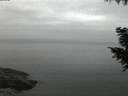 ./images/koeye/fitz-hugh/20200913/fitz-hugh20200913_063502.jpg