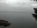 ./images/koeye/fitz-hugh/20200913/fitz-hugh20200913_064002.jpg