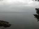./images/koeye/fitz-hugh/20200913/fitz-hugh20200913_064502.jpg