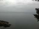 ./images/koeye/fitz-hugh/20200913/fitz-hugh20200913_065002.jpg