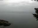 ./images/koeye/fitz-hugh/20200913/fitz-hugh20200913_065502.jpg