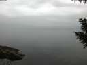 ./images/koeye/fitz-hugh/20200913/fitz-hugh20200913_070502.jpg