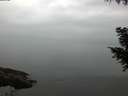 ./images/koeye/fitz-hugh/20200913/fitz-hugh20200913_071502.jpg