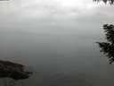 ./images/koeye/fitz-hugh/20200913/fitz-hugh20200913_072002.jpg