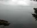 ./images/koeye/fitz-hugh/20200913/fitz-hugh20200913_072502.jpg
