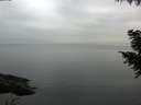 ./images/koeye/fitz-hugh/20200913/fitz-hugh20200913_074002.jpg
