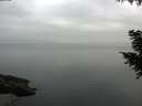 ./images/koeye/fitz-hugh/20200913/fitz-hugh20200913_074501.jpg