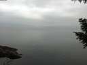 ./images/koeye/fitz-hugh/20200913/fitz-hugh20200913_075001.jpg