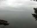 ./images/koeye/fitz-hugh/20200913/fitz-hugh20200913_080001.jpg