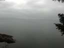 ./images/koeye/fitz-hugh/20200913/fitz-hugh20200913_080501.jpg
