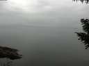 ./images/koeye/fitz-hugh/20200913/fitz-hugh20200913_081001.jpg