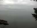 ./images/koeye/fitz-hugh/20200913/fitz-hugh20200913_081501.jpg
