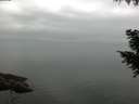 ./images/koeye/fitz-hugh/20200913/fitz-hugh20200913_082001.jpg