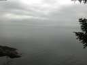 ./images/koeye/fitz-hugh/20200913/fitz-hugh20200913_082501.jpg