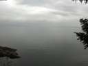 ./images/koeye/fitz-hugh/20200913/fitz-hugh20200913_083501.jpg