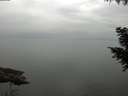 ./images/koeye/fitz-hugh/20200913/fitz-hugh20200913_084001.jpg