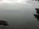 ./images/koeye/fitz-hugh/20200913/fitz-hugh20200913_084501.jpg