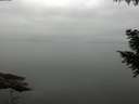 ./images/koeye/fitz-hugh/20200913/fitz-hugh20200913_085001.jpg