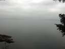 ./images/koeye/fitz-hugh/20200913/fitz-hugh20200913_085501.jpg