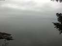 ./images/koeye/fitz-hugh/20200913/fitz-hugh20200913_090501.jpg