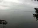 ./images/koeye/fitz-hugh/20200913/fitz-hugh20200913_091001.jpg