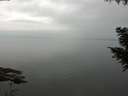 ./images/koeye/fitz-hugh/20200913/fitz-hugh20200913_091501.jpg