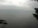 ./images/koeye/fitz-hugh/20200913/fitz-hugh20200913_092001.jpg