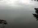 ./images/koeye/fitz-hugh/20200913/fitz-hugh20200913_092501.jpg