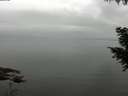 ./images/koeye/fitz-hugh/20200913/fitz-hugh20200913_093501.jpg
