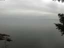 ./images/koeye/fitz-hugh/20200913/fitz-hugh20200913_094001.jpg