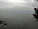 ./images/koeye/fitz-hugh/20200913/fitz-hugh20200913_094502.jpg