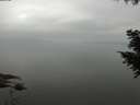 ./images/koeye/fitz-hugh/20200913/fitz-hugh20200913_095002.jpg