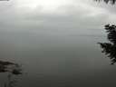 ./images/koeye/fitz-hugh/20200913/fitz-hugh20200913_095502.jpg