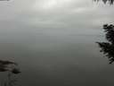 ./images/koeye/fitz-hugh/20200913/fitz-hugh20200913_100002.jpg