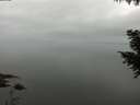 ./images/koeye/fitz-hugh/20200913/fitz-hugh20200913_100502.jpg